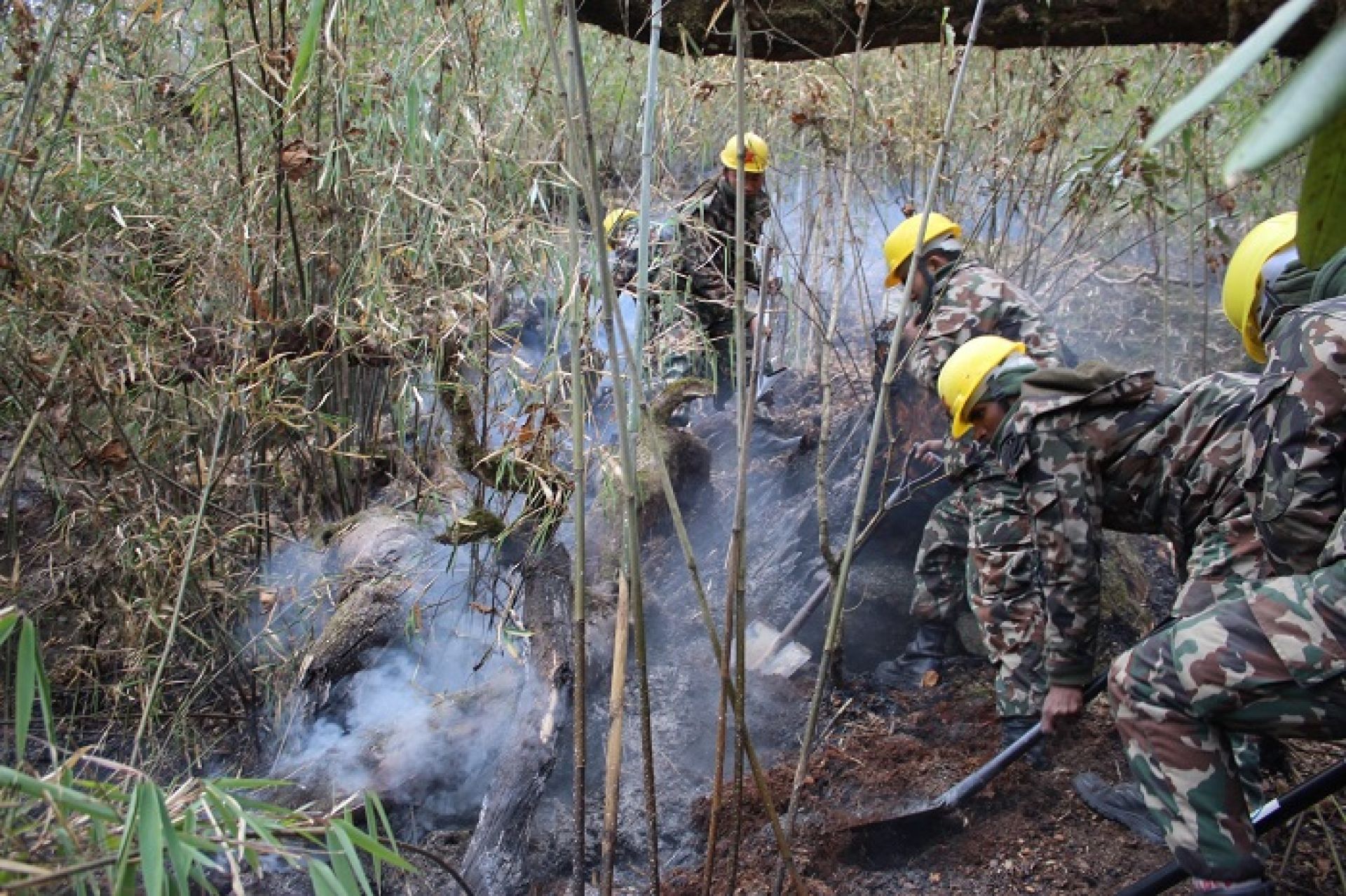 १० दिनसम्म पनि नियन्त्रण हुन सकेन मनाङको डढेलो 